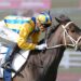 Near-scratch Blind Raise storms into Caulfield Guineas picture
