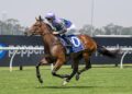 Pembrey form has Vandyke bullish about $100,000 buy