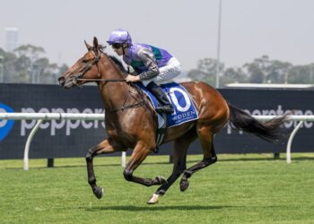 Pembrey form has Vandyke bullish about $100,000 buy