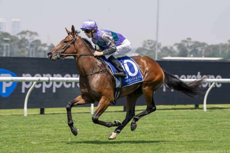 David Vandyke believes $100,000 online purchase Oregon Coast has the form to break through at Ipswich. [Bradley Photos]