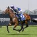 Pembrey form has Vandyke bullish about $100,000 buy