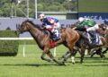 ‘I’m sticking with her’: Lloyd knocks back rides for Verona Rose