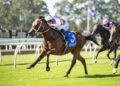 Waller’s Golden Rose guns set for early spring showdown