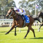 Waller’s Golden Rose guns set for early spring showdown