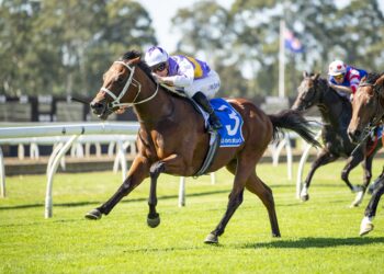 Waller’s Golden Rose guns set for early spring showdown