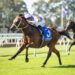 Waller’s Golden Rose guns set for early spring showdown