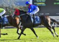 Price circles Flemington 2000m as Zambardo chases Cox Plate dream