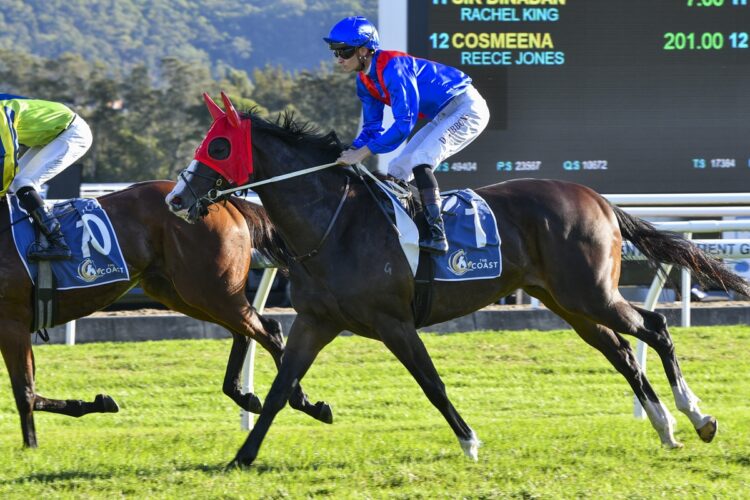 Zambardo begins a path towards the Cox Plate and Champions Stakes when he contests Sunday’s Feehan Stakes at Caulfield. [Bradley Photos]