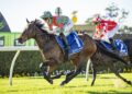 Deano’s NSW Trial Review: Six horses to follow