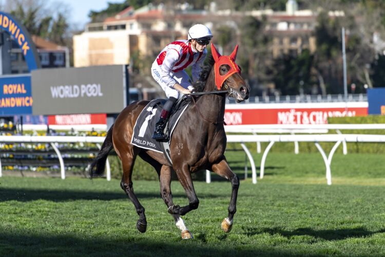 Global Goal will step up to 1400m in the Tea Rose Stakes as John Sargent plots a path towards the Group 1 Flight Stakes. [Bradley Photos]