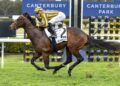 ‘Untapped’ $750,000 colt ready to emerge from the shadows