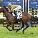 ‘Untapped’ $750,000 colt ready to emerge from the shadows