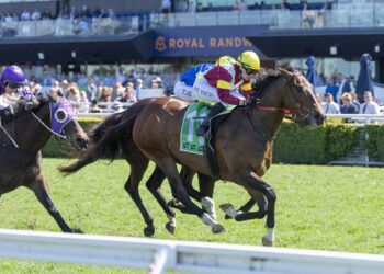 Four from four: Lord Remlap stakes Kosciuszko claim