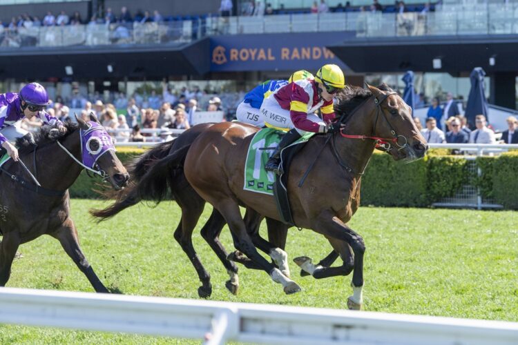 Lord Remlap makes it four wins from four with Mikayla Weir aboard at Randwick, strengthening his claims for The Kosciuszko. [Bradley Photos]
