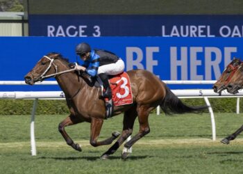 $3m mare Ernaux earns racing reprieve with Randwick win