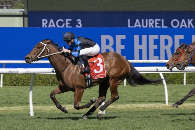 Ernaux and James McDonald combine for another Randwick win as the $3 million mare continues her remarkable form turnaround. [Bradley Photos]