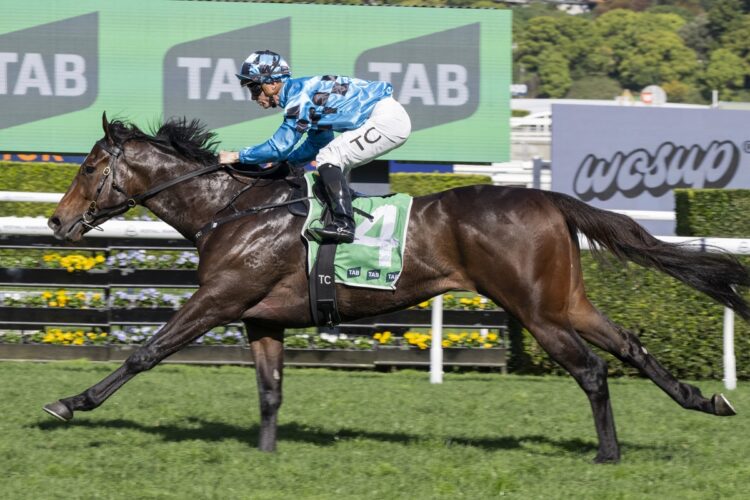 Decorum powers clear at Randwick to put himself in the frame for much bigger spring targets. [Bradley Photos]