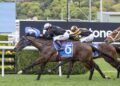 Payne finds another Group 1 hope in Bangkok Hottie