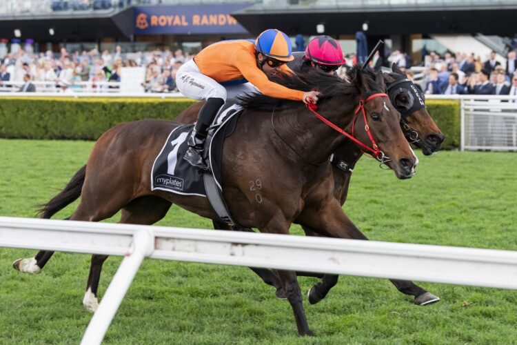 Headley Grange and Adam Hyeronimus nail Soothsayer in a thrilling finish to the Tramway Stakes at Randwick. [Bradley Photos]