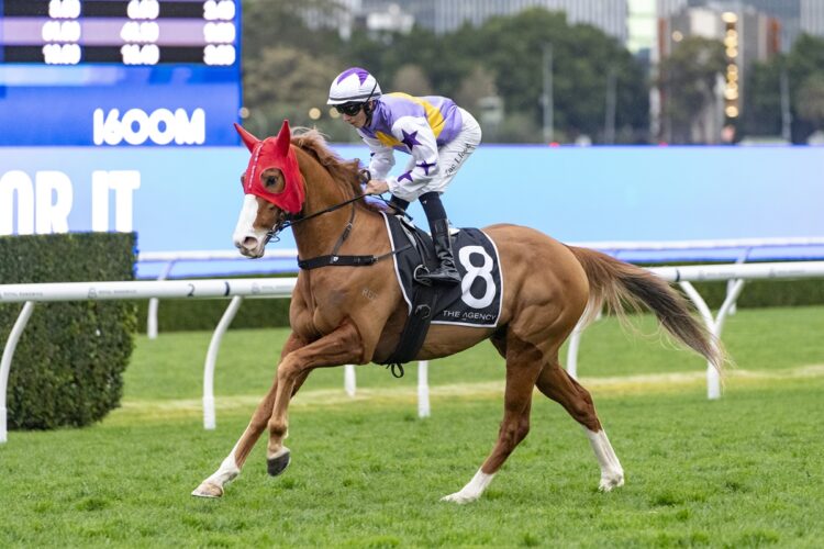 Starzintheireyes will chase his first Australian win at Rosehill after missing a start in last week’s Kingston Town Stakes. [Bradley Photos]