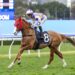 ‘Blessing in disguise’: Why missing Met lead-up may help Starzintheireyes