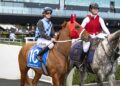 J-Mac makes his pick from Waller’s Tea Rose arsenal