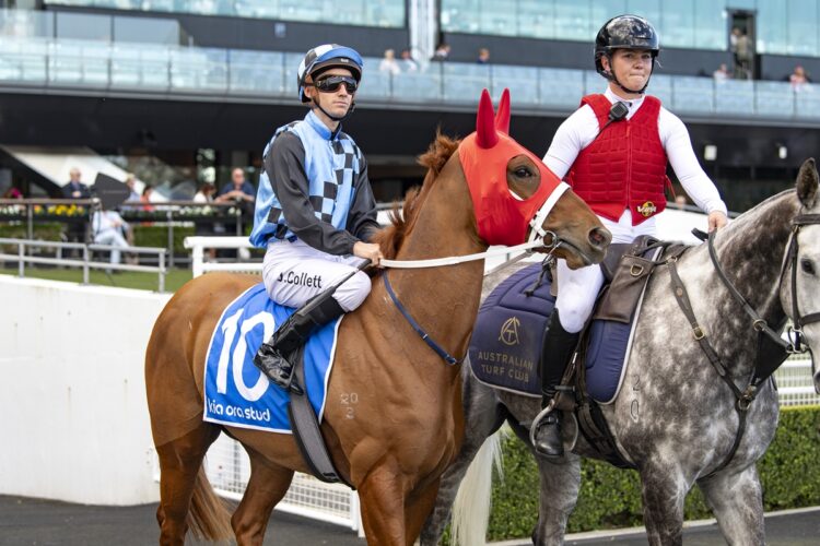 James McDonald has chosen Striking Alibi from Chris Waller’s four runners in Saturday’s Tea Rose Stakes at Randwick. [Bradley Photos]