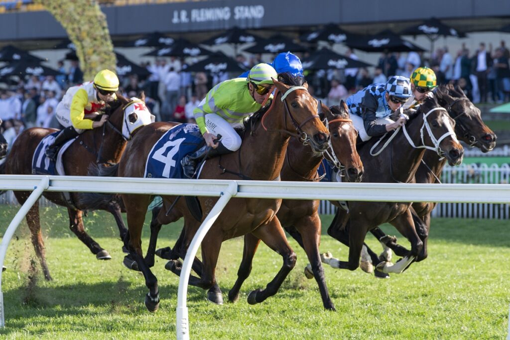 Widdup declares Savvy Hallie “definitely a Group 1 horse” after Sheraco win