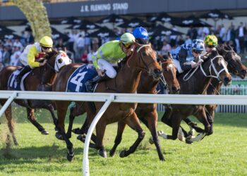 Widdup declares Savvy Hallie “definitely a Group 1 horse” after Sheraco win