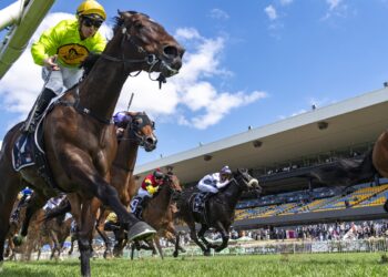 ‘Take that as you will’: McDonald switches sides at Rosehill