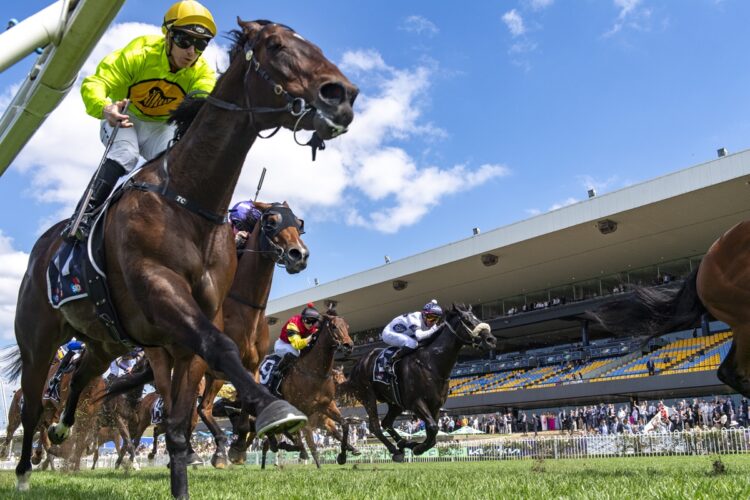 Better Late gets James McDonald aboard at Rosehill after being narrowly denied at his latest start. [Bradley Photos]