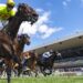 ‘Take that as you will’: McDonald switches sides at Rosehill