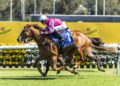 Snowden eyes stakes company after Crescent King breaks through