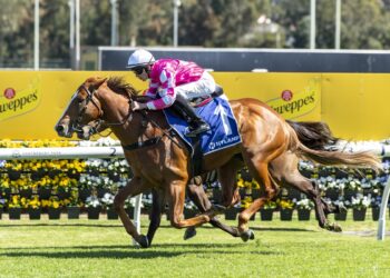 Crescent King and Zac Lloyd get the better of Better By Far in a tight finish at Canterbury. [Bradley Photos]