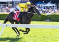 ‘Hopefully he’s too good’: Lees raises sights with Night Agent