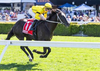 ‘Hopefully he’s too good’: Lees raises sights with Night Agent