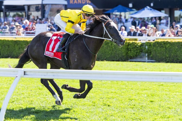 Night Agent and James McDonald race clear at Randwick, prompting Kris Lees to consider a shot at the $1 million Silver Eagle. [Bradley Photos]