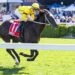 ‘Hopefully he’s too good’: Lees raises sights with Night Agent