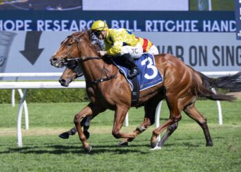 Thanks, but no thanks: General Salute knocks back Epsom ticket