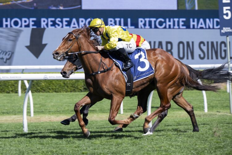 General Salute wins the Bill Ritchie Handicap at Randwick but will bypass his ballot-free opportunity in the Epsom Handicap. [Bradley Photos]