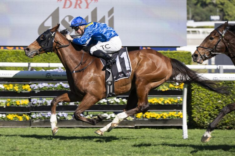 The Euphrates and Tim Clark power to victory in the Kingston Town Stakes, putting the Frankel import firmly on a Cups path. [Bradley Photos]