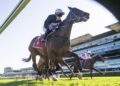 ‘I’m making a comeback’: Payne’s remarkable spring rolls on