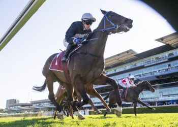 Bangkok Hottie and Kerrin McEvoy continue David Payne’s remarkable spring run with victory in the Tea Rose Stakes. [Bradley Photos]