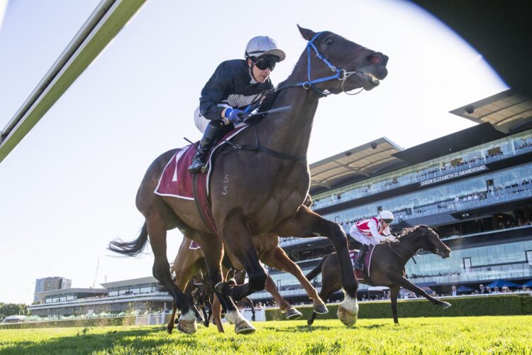 Bangkok Hottie and Kerrin McEvoy continue David Payne’s remarkable spring run with victory in the Tea Rose Stakes. [Bradley Photos]