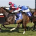 ‘Holding your breath’: Headwall finally ready for racing return
