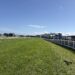 Caulfield track drama hits Manikato as Group 1 field slashed