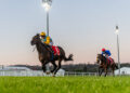 Launceston Tips Wednesday Night: Steve Christie’s best bets, staking plan and full preview