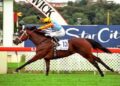 NZ Trial Watcher ranks the five best New Zealand racehorses since 2000