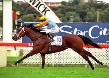 NZ Trial Watcher ranks the five best New Zealand racehorses since 2000