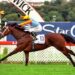 NZ Trial Watcher ranks the five best New Zealand racehorses since 2000